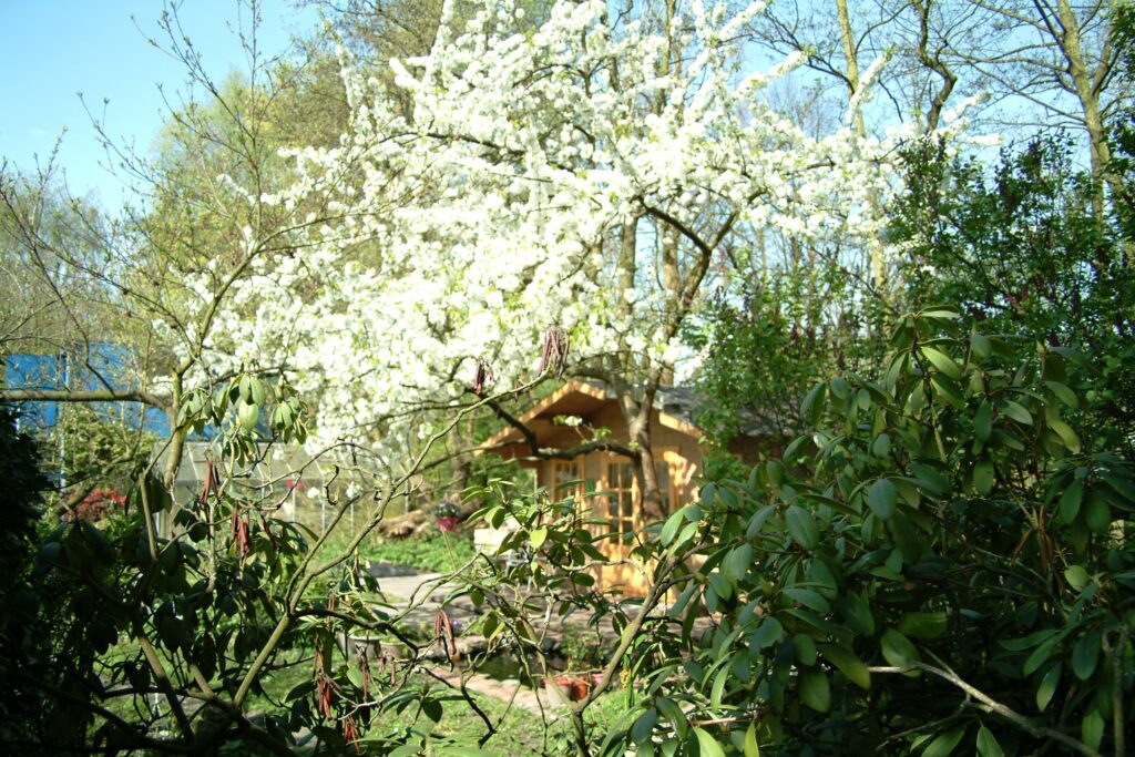 Het huisje tijdends de lente, toen de kersenboom er nog stond